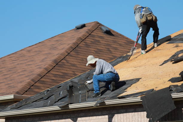 Best Rubber Roofing (EPDM, TPO)  in Isle Of Hope, GA