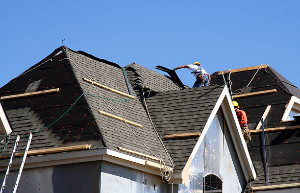 Best Roof Moss and Algae Removal  in Isle Of Hope, GA